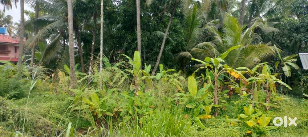 Land for sale - 72.5 cent- west fort- 20 lakhs per cent