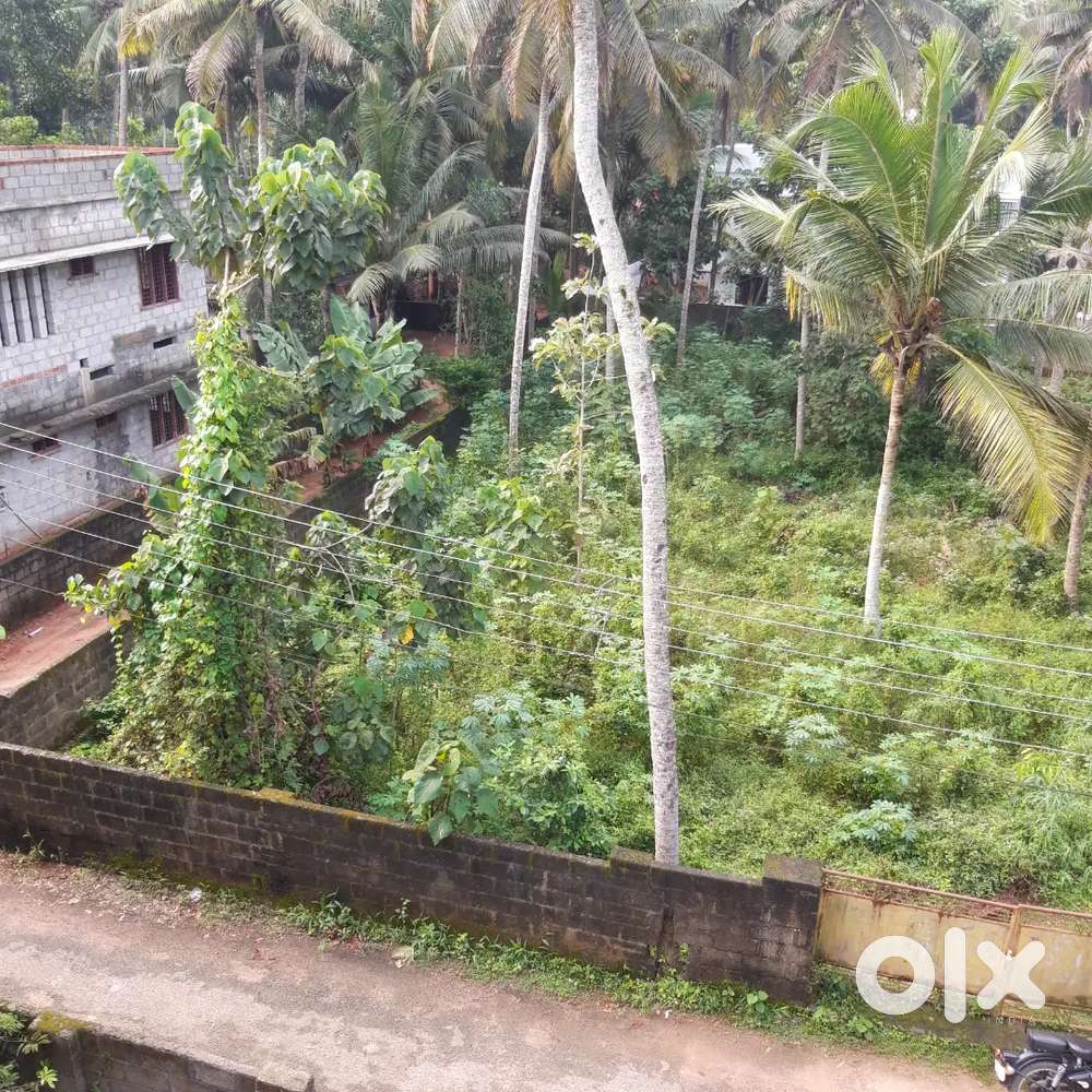 Plot  for sale 5 KM away from Vizhinjam port