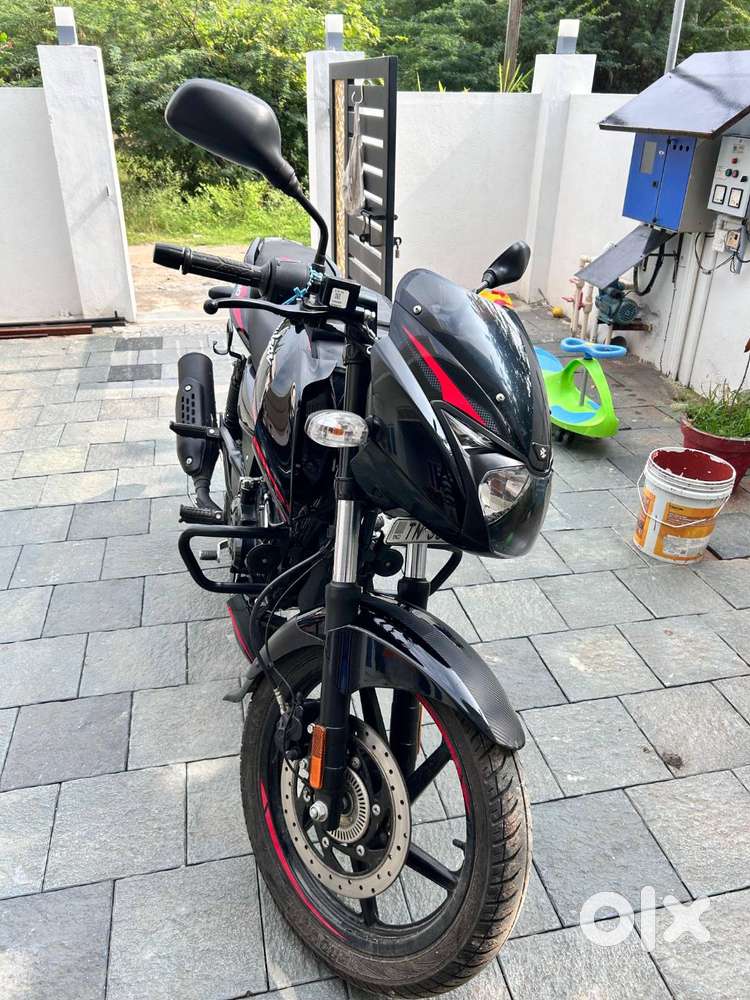 Pulsar 150 (2025 Model) – Excellent Condition, 1 Free Service Left