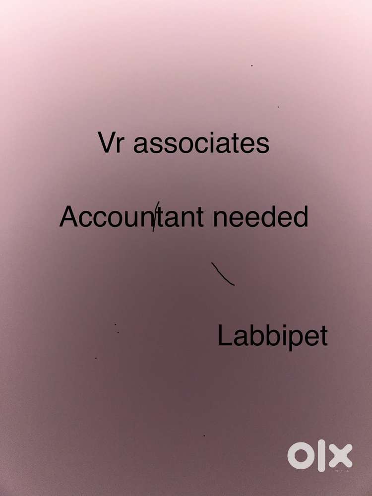 Female accountant and office assistant