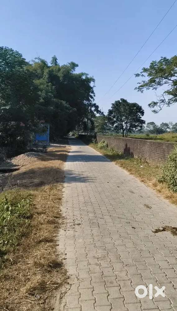 LAND SALE IMMEDIATELY