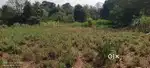 60 cent farm land for sale in velanthavalam, asking price 50000