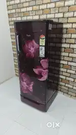 Whirlpool flower 190 liters single door refrigerator