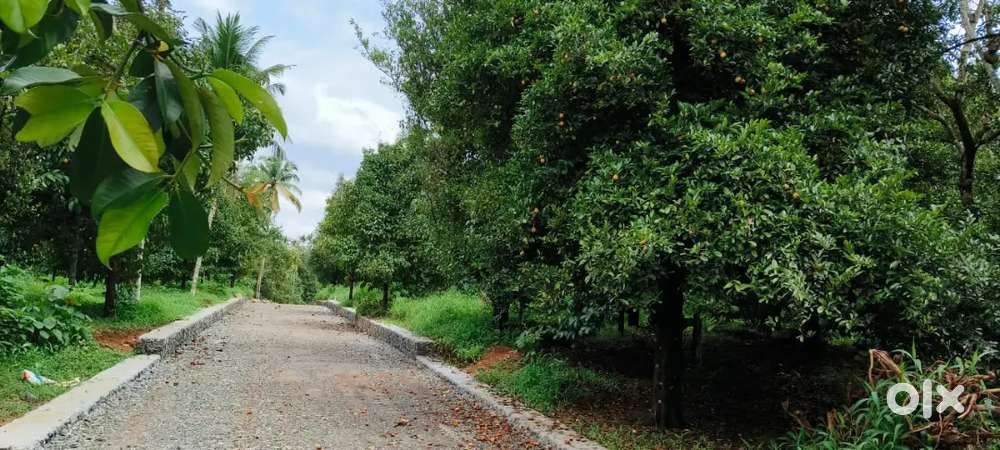 ചാലക്കുടി മുരിങ്ങൂരിന് സമീപം 4, 5, 8, 10, 20, സെൻ്റെ