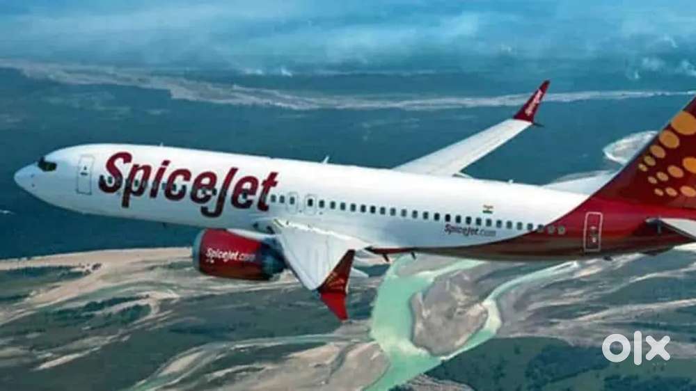 We are hiring for ticketing executive in kanpur airport