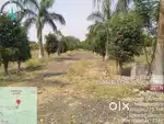 URGENT plot for sale clear title