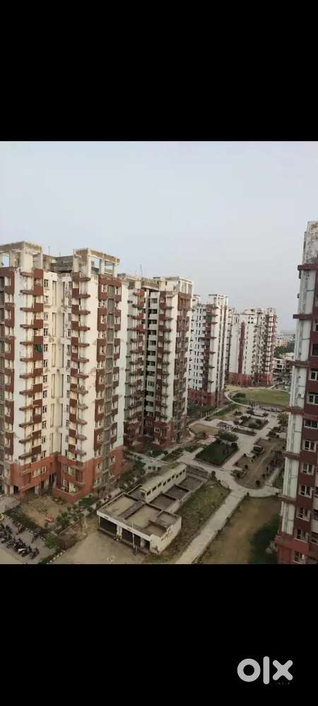 2 bhk Flat sharing in Sunny Place