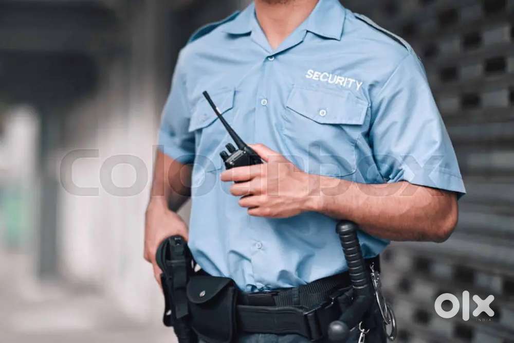 Need a security guard