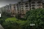 Chandanagar - 1 BHK fully furnished flat on rent@8000 + Maintenance
