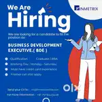 Business Development Executive