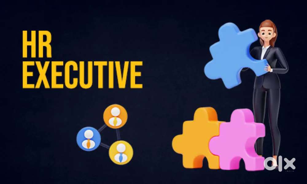 HR Executive - fresher in a IT company