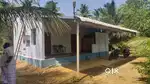 Aliyar dam nearly coconut farm sales