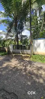 2BHK House for Rent