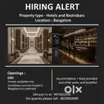 WANTED STAFF FOR HOTEL