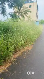 Open plots near by Atal Setu