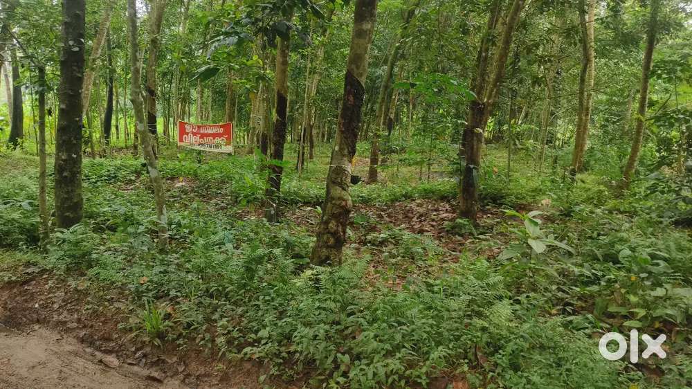 14 cent for sale, near kakkaravila csi church