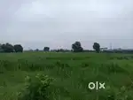 8.6 Acre Free Zone land In Bhigan,sonipat adjacent MIT industrial Area