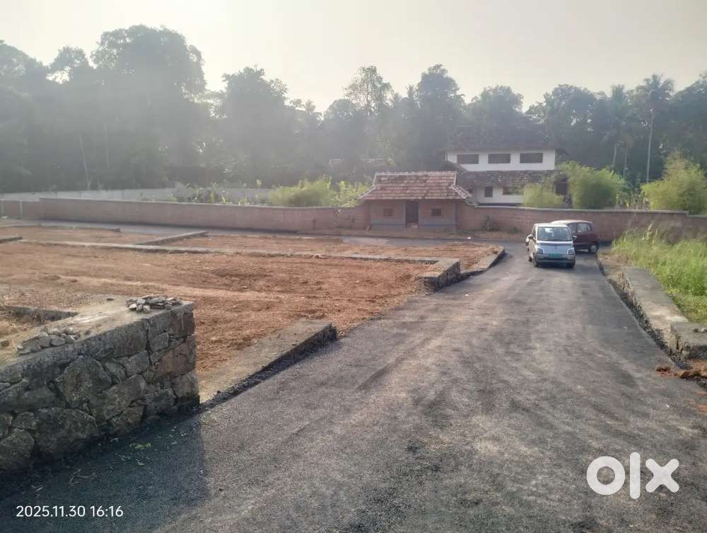 Chottanikkara temple near house plot for sale