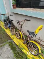 Cycle vikane ahe 2 nag