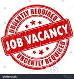 Urgent required Back office cum Data entry operator