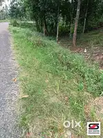 House plot for sale in Attappadi, Palakkad