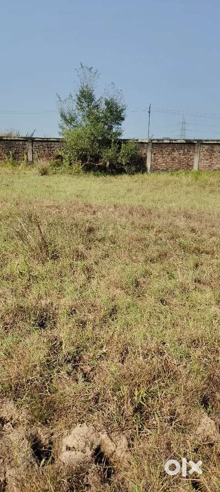 3 kathha land selling in 14 lakhs, urgent money require