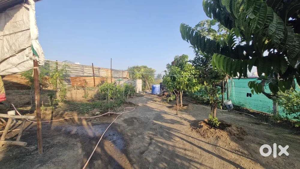 Sells plots 60×20 Road Frand Road tach