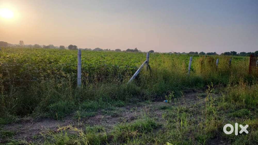 Agriculture land sale 5 Acrs Highwat facing Project
