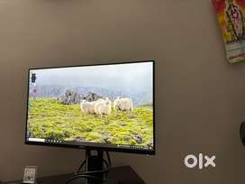 Dell Monitor