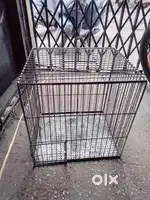 Cage pinjra for bird