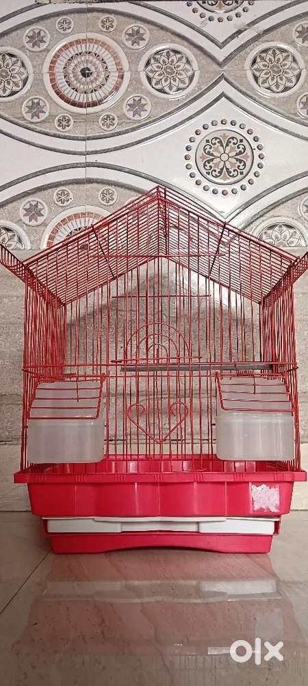 Birds cage