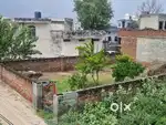 300 gaj plot in charkhi dadri