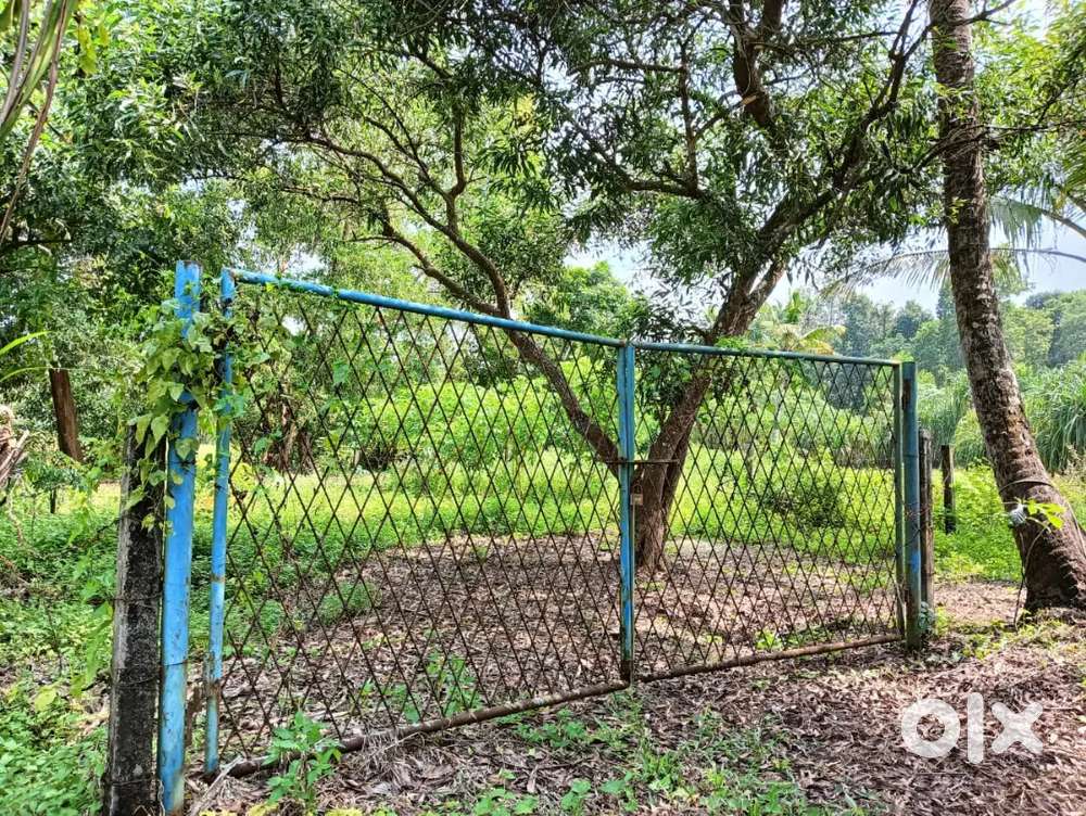 7 cent plot for sale in thalayalam panchayat Vaikom