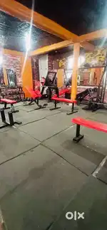 Gym Setup with all Equipments