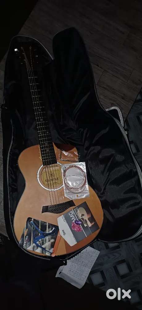Kadence guitar