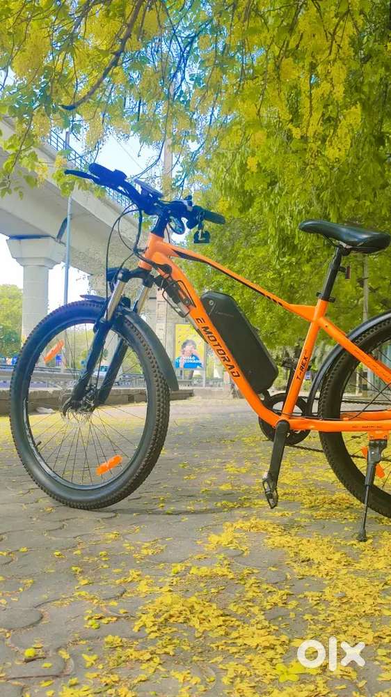 1year old  Fully functionE-Motorad trex-Air  Electric looks new