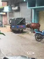 Mayuri e ricksaw