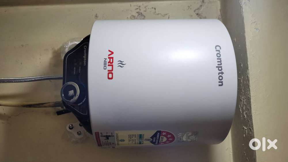 Electric geyser