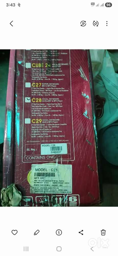 Audio stranger  with 2 mic and lead