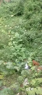 Sale of commercial plot of 1640  @ 5300 per sqft