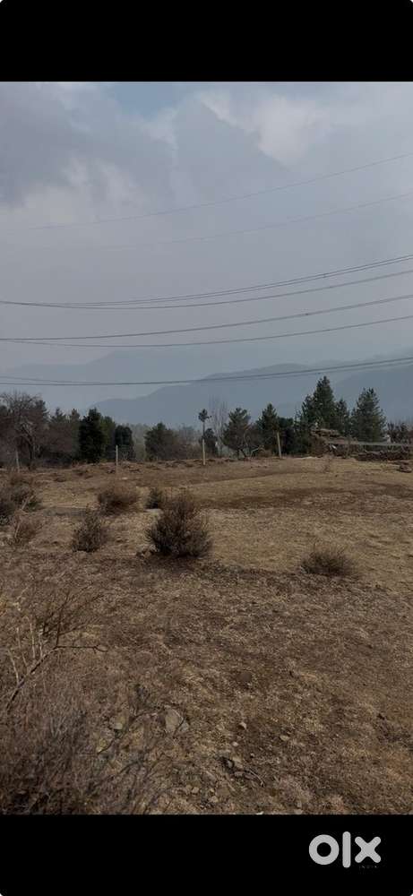 1 kanal open land available for rent/lease at Sanasar (Patnitop)