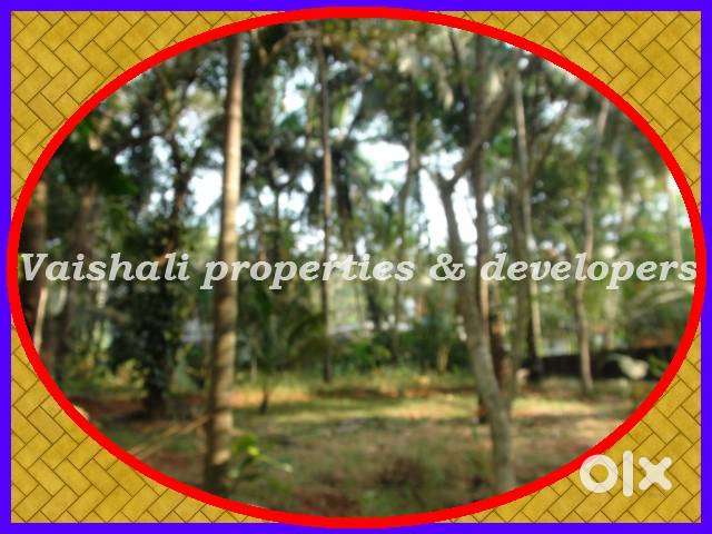 5 cent Residential Plot for sale in near Karikyamkulam