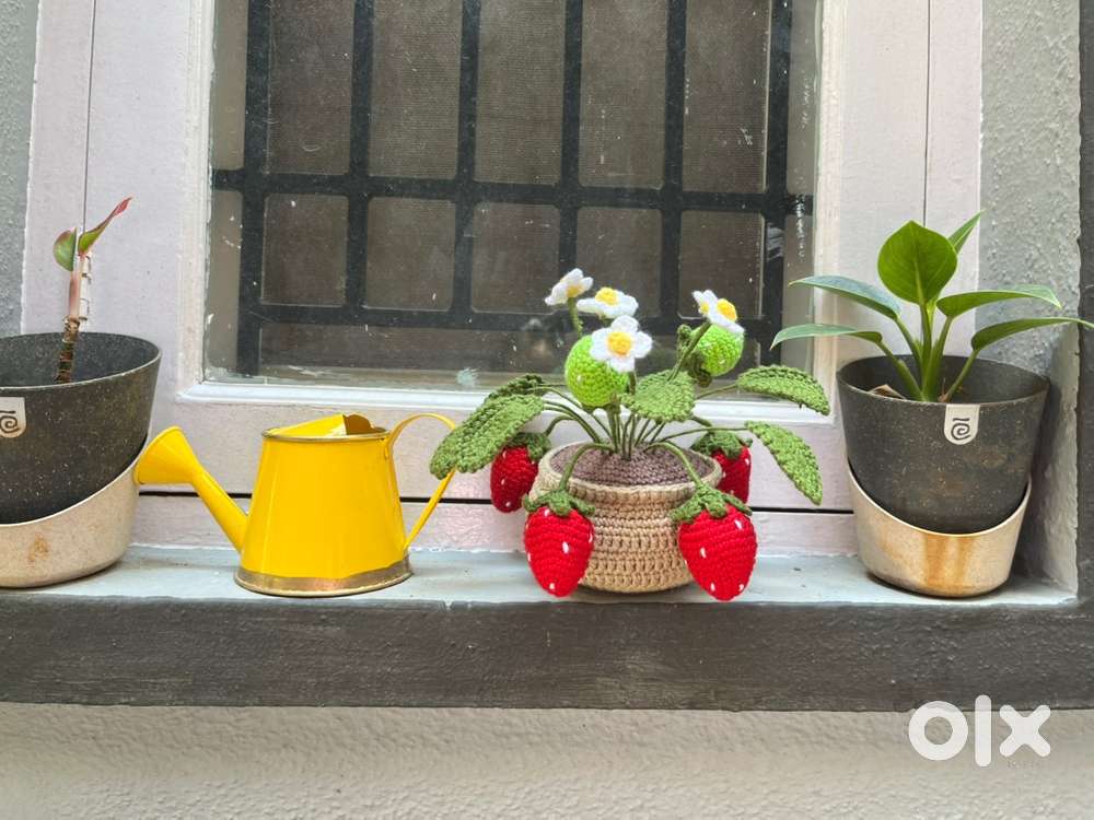 Crochet flowers,plant and stuffed toys.