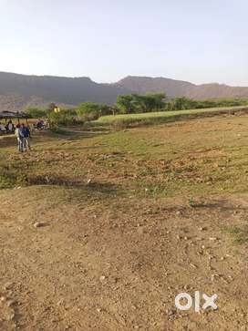 Agriculture Land - Ranthambore National Park