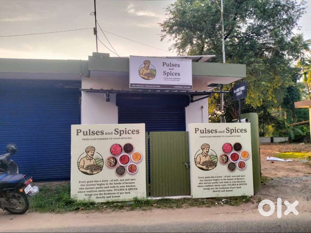 Accountant - Tally and GST