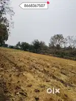 4 ekar khet Baghdadi Zameen hai Ellora cave se 1 km par