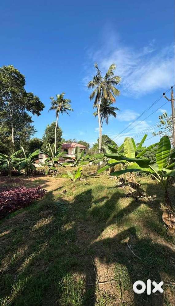 Land for sale in Adoor, Peringanad