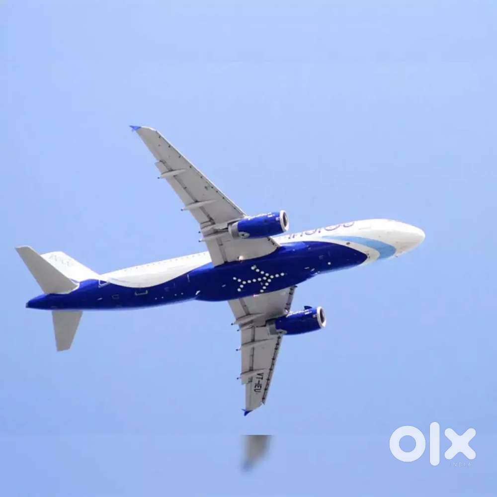 Indigo airlines ground staff vacancies open