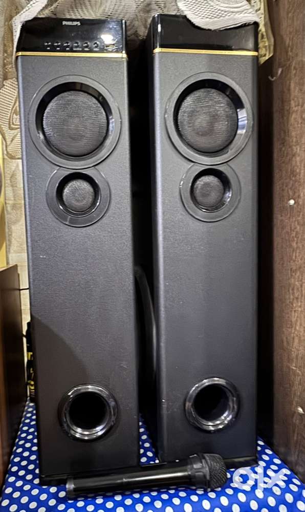 Philips speaker with Mic