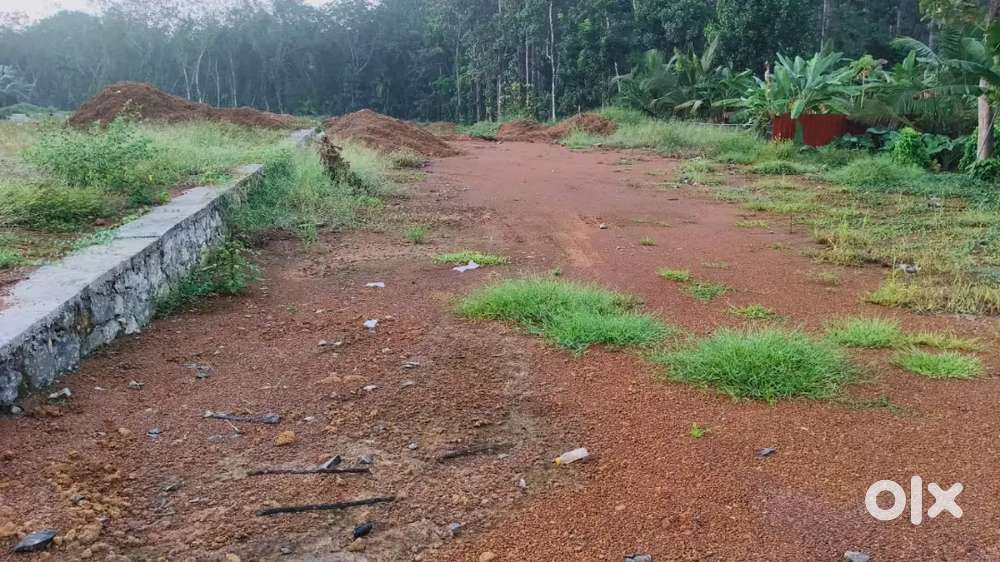 മാമ്മൂട് 10 cent house plot. 3 .lakh. cent.
